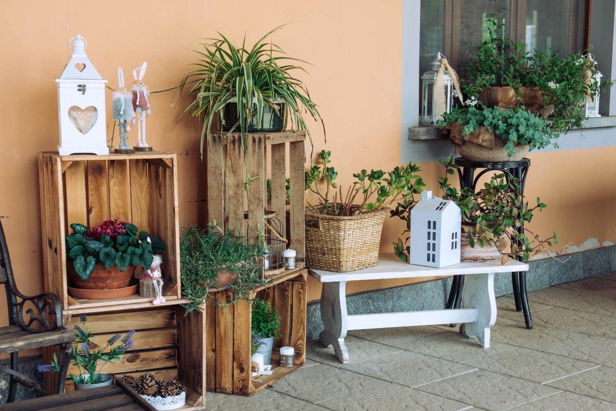 Cascina Orto Agroturismo *